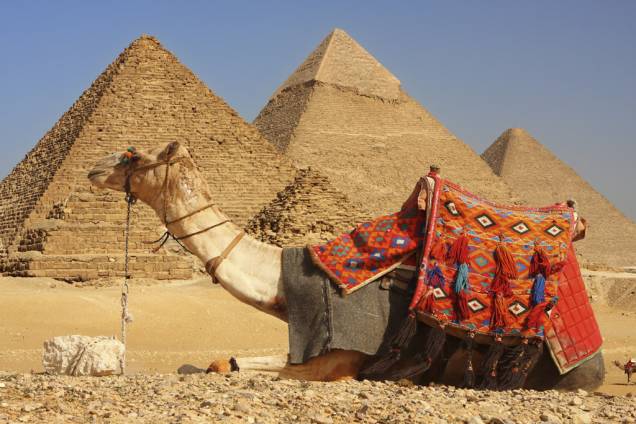 Passeios com dromedário nas pirâmides de Gizé fazem a alegria de muitos turistas Passeios com dromedário nas pirâmides de Gizé fazem a alegria de muitos turistas