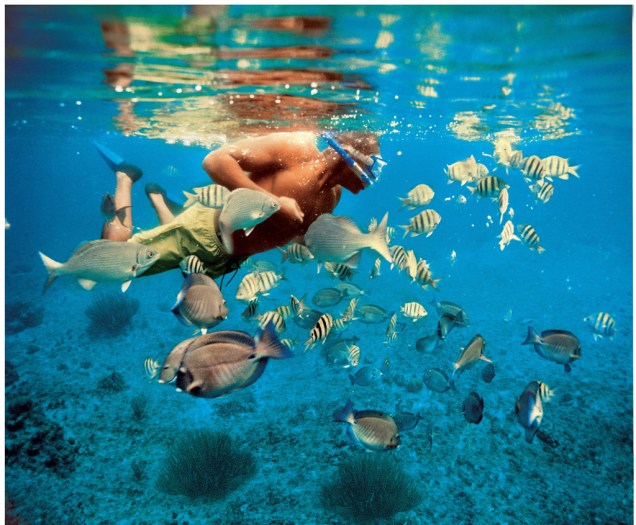A maior atração de Cozumel são seus corais, apresentados ao mundo pelo pesquisador francês Jacques Cousteau