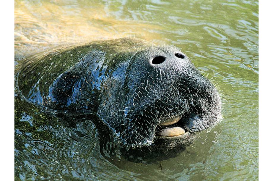Danilo no Caminito de El Chorro Danilo no Caminito de El Chorro