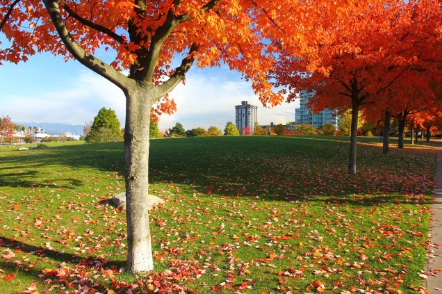 Outono no Stanley Park
