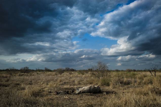 <strong>Pousada Bambu Brasil, São Jorge, Goiás</strong> <br /> Rios cristalinos, cachoeiras de mais de 100 metros, paredões de pedra cortando a paisagem do Cerrado são alguns dos atrativos da <strong><a href="https://viajeaqui.abril.com.br/cidades/br-go-chapada-dos-veadeiros" rel="Chapada dos Veadeiros" target="_self">Chapada dos Veadeiros</a></strong>. A <a href="https://viajeaqui.abril.com.br/estabelecimentos/br-go-alto-paraiso-de-goias-hospedagem-pousada-bambu-brasil" rel="Pousada Bambu Brasil" target="_self">Pousada Bambu Brasil</a>, no distrito de <a href="https://viajeaqui.abril.com.br/cidades/br-go-sao-jorge" rel="São Jorge" target="_self">São Jorge</a>, fica próxima à entrada do <a href="https://viajeaqui.abril.com.br/estabelecimentos/br-go-sao-jorge-atracao-parque-nacional-da-chapada-dos-veadeiros" rel="Parque Nacional" target="_self">Parque Nacional</a> e serve como base para exploradores que podem relaxar na piscina após um dia cansativo <strong>Pousada Bambu Brasil, São Jorge, Goiás</strong> <br /> Rios cristalinos, cachoeiras de mais de 100 metros, paredões de pedra cortando a paisagem do Cerrado são alguns dos atrativos da <strong><a href="https://viajeaqui.abril.com.br/cidades/br-go-chapada-dos-veadeiros" rel="Chapada dos Veadeiros" target="_self">Chapada dos Veadeiros</a></strong>. A <a href="https://viajeaqui.abril.com.br/estabelecimentos/br-go-alto-paraiso-de-goias-hospedagem-pousada-bambu-brasil" rel="Pousada Bambu Brasil" target="_self">Pousada Bambu Brasil</a>, no distrito de <a href="https://viajeaqui.abril.com.br/cidades/br-go-sao-jorge" rel="São Jorge" target="_self">São Jorge</a>, fica próxima à entrada do <a href="https://viajeaqui.abril.com.br/estabelecimentos/br-go-sao-jorge-atracao-parque-nacional-da-chapada-dos-veadeiros" rel="Parque Nacional" target="_self">Parque Nacional</a> e serve como base para exploradores que podem relaxar na piscina após um dia cansativo