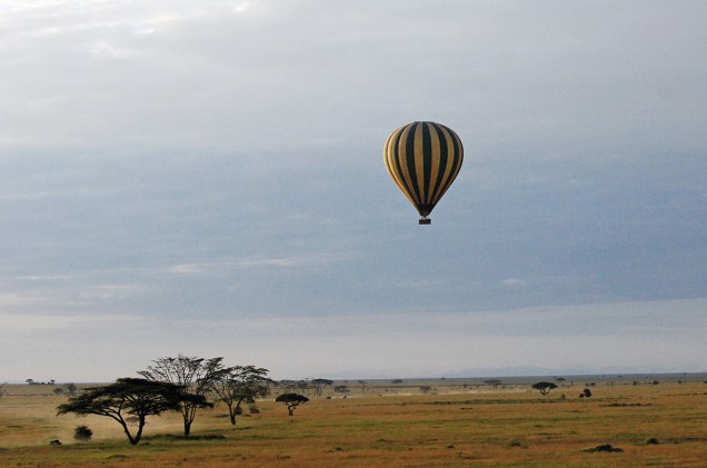 Rebanhos e manadas de zebras, girafas, leões, hipopótamos, elefantes, entre outros habitantes da <a href="https://viagemeturismo.abril.com.br/paises/tanzania/">Tanzânia</a>, são só uma prévia da paisagem vista de cima de um balão no <a href="https://viagemeturismo.abril.com.br/atracao/parque-nacional-do-serengeti/">Parque Nacional do Serengeti</a>, em <a href="https://viagemeturismo.abril.com.br/cidades/arusha/">Arusha</a>. A flora da savana africana completa a obra. E não pense que os elefantes avistados são "pontinhos cinza". Nada disso! É possível observá-los a uma curta distância e ficar atento para – quem sabe - não esbarrar na cabeça de uma girafa (ok, nem tanto).