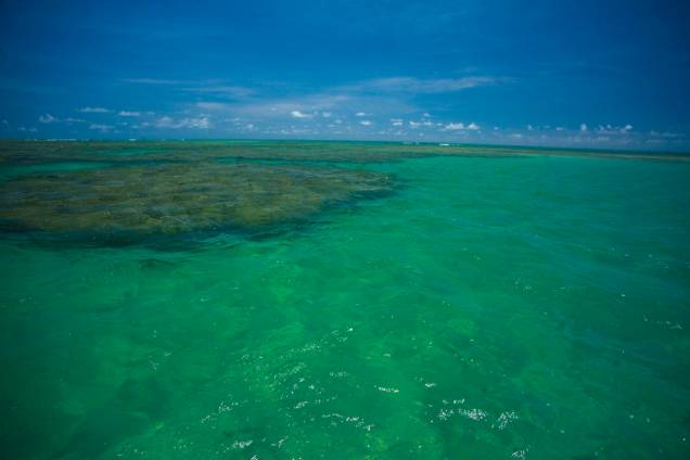 O mar de São Miguel dos Milagres é verde-claro, morno e sem ondas, com os recifes característicos da Costa dos Corais. Há um banco de corais na Praia de Porto da Rua