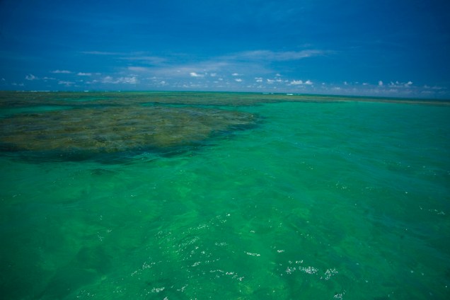 O mar de São Miguel dos Milagres é verde-claro, morno e sem ondas, com os recifes característicos da Costa dos Corais. Há um banco de corais na Praia de Porto da Rua