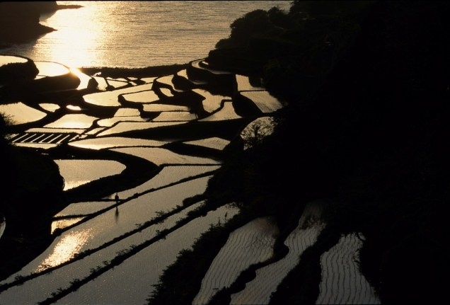Terraços de plantação de arroz na província de Saga, na ilha de Kyushu
