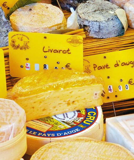 Coronel – o queijo livarot – exposto entre amigos mais cinzentos Coronel – o queijo livarot – exposto entre amigos mais cinzentos