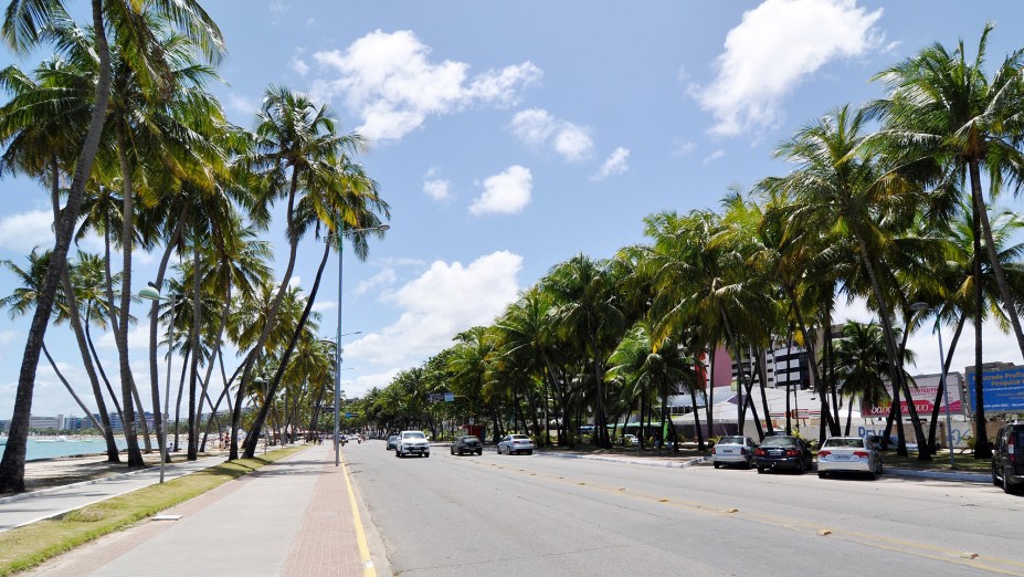 A avenida da praia de Ponta Verde é margeada por coqueiros