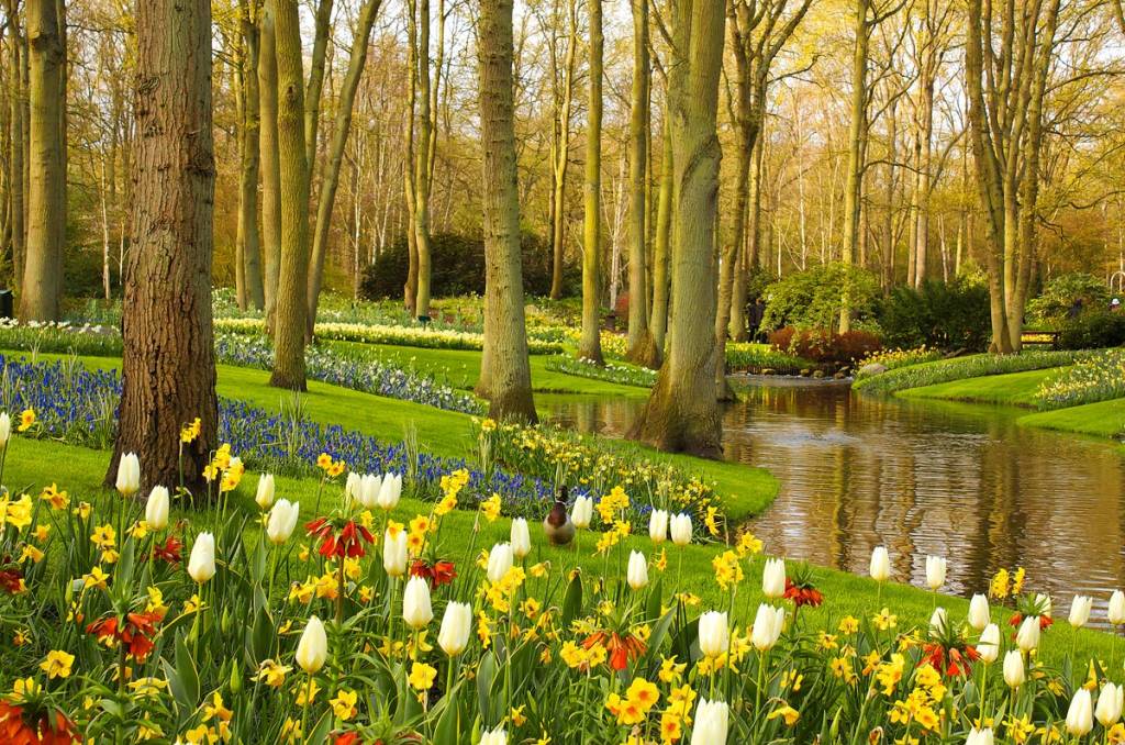 Parque Keukenhof, em Lisse, Amsterdã, Holanda