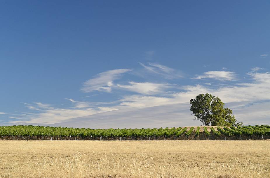 Clare Valley Clare Valley