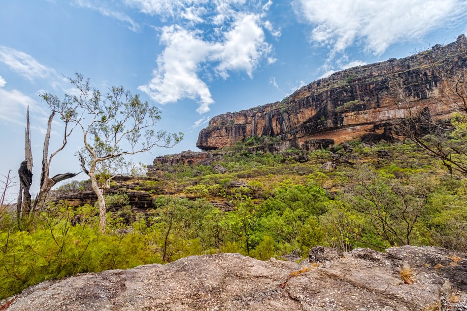 <a href="https://viajeaqui.abril.com.br/estabelecimentos/australia-darwin-atracao-parque-nacional-de-kakadu" rel="Parque Nacional de Kakadu - Darwin " target="_blank"><strong>Parque Nacional de Kakadu - Darwin </strong></a>                    A preservação da cultura aborígene combinada às belezas naturais fizeram com que Kakadu fosse considerado patrimônio pela Unesco. Uma vez nas dependências do parque, você se depara com galerias de pinturas aborígenes, pantanais com crocodilos gigantes, paredões avermelhados e espécies raras de plantas e animais