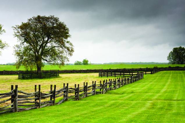 O estado da Virginia, nos Estados Unidos, recebe o Historic Garden Week entre 18 e 25 de abril O estado da Virginia, nos Estados Unidos, recebe o Historic Garden Week entre 18 e 25 de abril