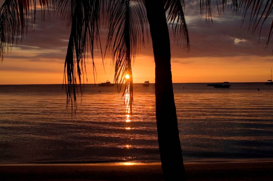 De Ocho Rios a Negril, passando por Montego Bay, a Jamaica oferece tudo aquilo que imaginamos do Caribe: praias de areias brancas, mar azul, baladas animadas e drinques coloridos servidos à beira das piscinas
