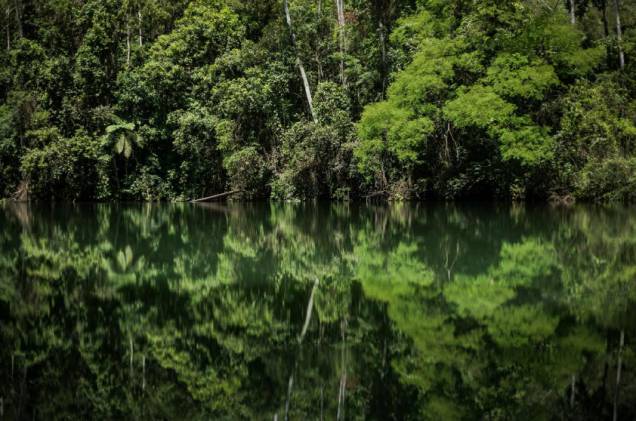 O famoso “chuveirinho” da caverna Temimina, em Iporanga, São Paulo, é formado a partir de águas oriundas do epicarste, que se infiltram em fraturas preferenciais do corpo rochoso de calcário. O famoso “chuveirinho” da caverna Temimina, em Iporanga, São Paulo, é formado a partir de águas oriundas do epicarste, que se infiltram em fraturas preferenciais do corpo rochoso de calcário.