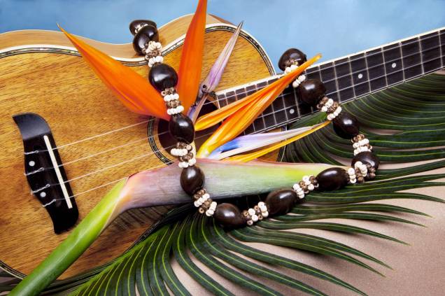 <strong>Ukulele</strong><br />  O instrumento musical típico do Havaí, o ukulele chegou ao arquipélago junto com os trabalhadores da Ilha da Madeira no final do século XIX, que foram para lá cultivar de cana-de-açúcar. Ukulele significa "pulga saltitante" no idioma havaiano. Além dos britânicos e madeirenses, as ilhas havaianas receberam imigrantes da França, Espanha, China e Japão.