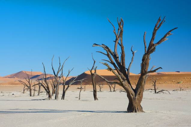 <strong> Dead Vlei – Namíbia</strong>        As dunas de Dead Vlei, no deserto da Namíbia, estão entre as maiores do mundo.  Árvores mortas, porém intactas dão um aspecto único ao local <strong><a href="http://viajeaqui.abril.com.br/materias/lugares-pelo-planeta-que-vao-fazer-voce-se-sentir-no-filme-mad-max" rel="LEIA MAIS" target="_blank">LEIA MAIS</a></strong>