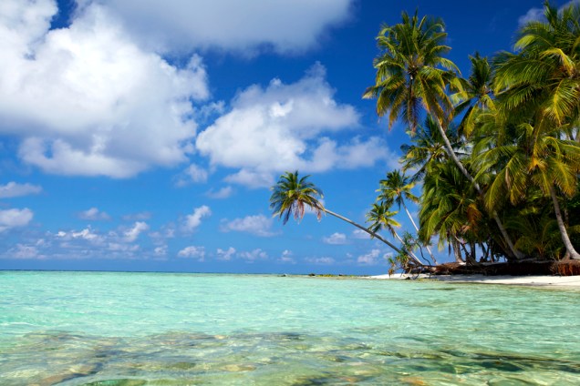O arquipélago das Maldivas é formado por 1.192 ilhas, das quais 200 são habitadas. Encravadas nas águas mornas do Oceano Índico, seus recifes abrigam centenas de espécies de animais