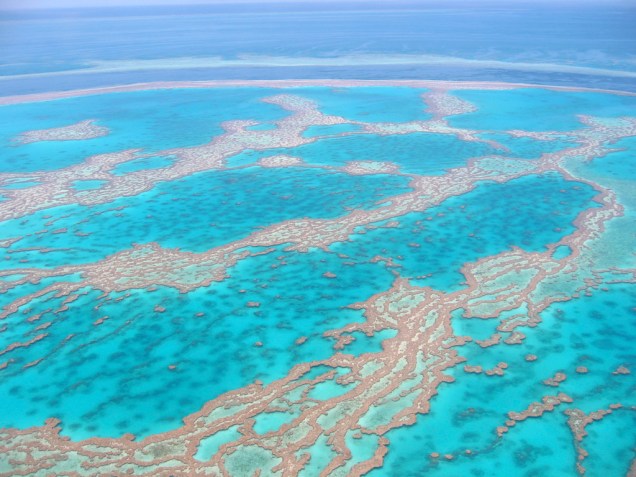A Grande Barreira de Corais, na Austrália e Papua Nova Guiné, é a maior do mundo. Com uma área de 344 mil quilômetros quadrados, ela abriga 3.000 recifes individuas e 900 ilhas. A diversidade nos recifes é imensa: peixes, moluscos, algas e tartarugas