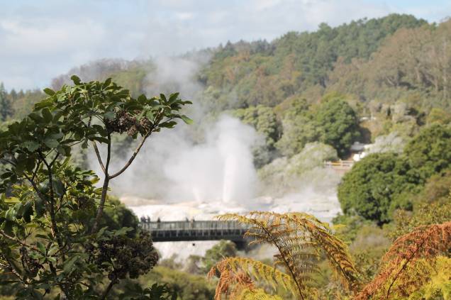 <strong><em>Parque Te Puia, em<a href="http://viajeaqui.abril.com.br/cidades/nova-zelandia-rotorua" target="_blank" rel="noopener"> Rotorua</a></em> -</strong> A intensa atividade vulcânica em Rotorua é responsável pelo vapor eliminado em vários pontos da cidade, que produzem um odor desagradável, e também pelos gêiseres: o mais famoso, Pohutu, chega a lançar jatos de água a 20 metros de altura