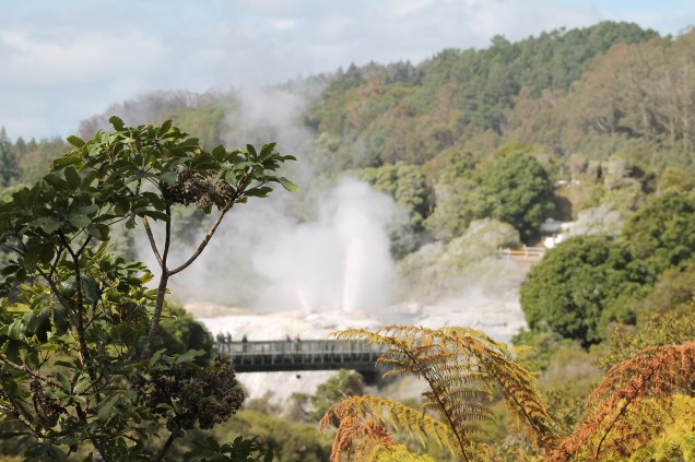 <strong><em>Parque Te Puia, em<a href="https://viajeaqui.abril.com.br/cidades/nova-zelandia-rotorua" target="_blank" rel="noopener"> Rotorua</a></em> -</strong> A intensa atividade vulcânica em Rotorua é responsável pelo vapor eliminado em vários pontos da cidade, que produzem um odor desagradável, e também pelos gêiseres: o mais famoso, Pohutu, chega a lançar jatos de água a 20 metros de altura