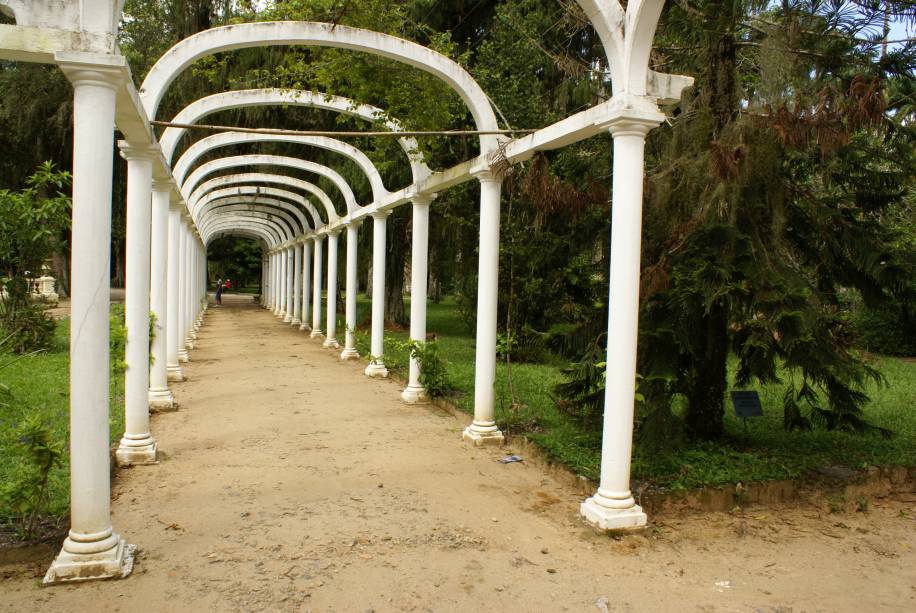 Alamedas do Jardim Botânico do Rio de Janeiro