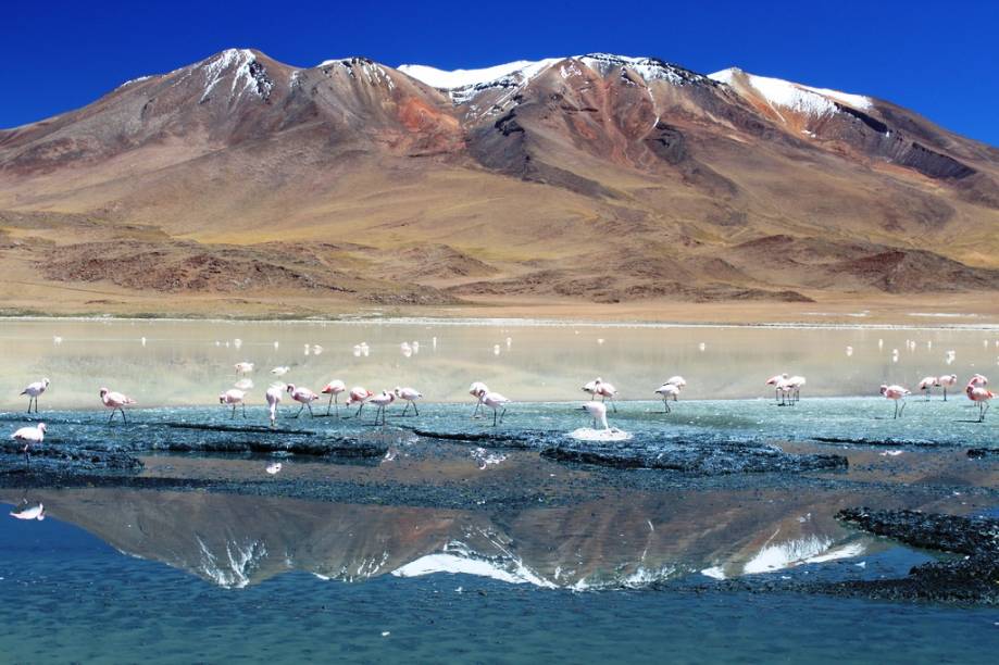<strong>Altiplano Andino, Bolívia</strong> A <a href="https://viajeaqui.abril.com.br/paises/bolivia">Bolívia </a>possui paisagens simplesmente arrebatadoras. A região do altiplano reserva maravilhas naturais como lagunas policromáticas, vulcões e uma fauna singular. Esta é uma viagem para toda uma vida.<em> <a href="https://www.booking.com/searchresults.pt-br.html?aid=332455&lang=pt-br&sid=eedbe6de09e709d664615ac6f1b39a5d&sb=1&src=searchresults&src_elem=sb&error_url=https%3A%2F%2Fwww.booking.com%2Fsearchresults.pt-br.html%3Faid%3D332455%3Bsid%3Deedbe6de09e709d664615ac6f1b39a5d%3Bclass_interval%3D1%3Bdest_id%3D75%3Bdest_type%3Dcountry%3Bdtdisc%3D0%3Bfrom_sf%3D1%3Bgroup_adults%3D2%3Bgroup_children%3D0%3Binac%3D0%3Bindex_postcard%3D0%3Blabel_click%3Dundef%3Bno_rooms%3D1%3Boffset%3D0%3Bpostcard%3D0%3Braw_dest_type%3Dcountry%3Broom1%3DA%252CA%3Bsb_price_type%3Dtotal%3Bsearch_selected%3D1%3Bsrc%3Dsearchresults%3Bsrc_elem%3Dsb%3Bss%3DPolin%25C3%25A9sia%2520Francesa%3Bss_all%3D0%3Bss_raw%3DPolin%25C3%25A9sia%2520Francesa%3Bssb%3Dempty%3Bsshis%3D0%3Bssne_untouched%3DAustr%25C3%25A1lia%26%3B&ss=Bol%C3%ADvia&ssne=Polin%C3%A9sia+Francesa&ssne_untouched=Polin%C3%A9sia+Francesa&checkin_monthday=&checkin_month=&checkin_year=&checkout_monthday=&checkout_month=&checkout_year=&no_rooms=1&group_adults=2&group_children=0&highlighted_hotels=&from_sf=1&ss_raw=Bol%C3%ADvia&ac_position=0&ac_langcode=xb&dest_id=26&dest_type=country&search_pageview_id=44067821693500b2&search_selected=true&search_pageview_id=44067821693500b2&ac_suggestion_list_length=5&ac_suggestion_theme_list_length=0" target="_blank" rel="noopener">Busque hospedagens na Bolívia no Booking.com</a></em> <strong>Altiplano Andino, Bolívia</strong> A <a href="https://viajeaqui.abril.com.br/paises/bolivia">Bolívia </a>possui paisagens simplesmente arrebatadoras. A região do altiplano reserva maravilhas naturais como lagunas policromáticas, vulcões e uma fauna singular. Esta é uma viagem para toda uma vida.<em> <a href="https://www.booking.com/searchresults.pt-br.html?aid=332455&lang=pt-br&sid=eedbe6de09e709d664615ac6f1b39a5d&sb=1&src=searchresults&src_elem=sb&error_url=https%3A%2F%2Fwww.booking.com%2Fsearchresults.pt-br.html%3Faid%3D332455%3Bsid%3Deedbe6de09e709d664615ac6f1b39a5d%3Bclass_interval%3D1%3Bdest_id%3D75%3Bdest_type%3Dcountry%3Bdtdisc%3D0%3Bfrom_sf%3D1%3Bgroup_adults%3D2%3Bgroup_children%3D0%3Binac%3D0%3Bindex_postcard%3D0%3Blabel_click%3Dundef%3Bno_rooms%3D1%3Boffset%3D0%3Bpostcard%3D0%3Braw_dest_type%3Dcountry%3Broom1%3DA%252CA%3Bsb_price_type%3Dtotal%3Bsearch_selected%3D1%3Bsrc%3Dsearchresults%3Bsrc_elem%3Dsb%3Bss%3DPolin%25C3%25A9sia%2520Francesa%3Bss_all%3D0%3Bss_raw%3DPolin%25C3%25A9sia%2520Francesa%3Bssb%3Dempty%3Bsshis%3D0%3Bssne_untouched%3DAustr%25C3%25A1lia%26%3B&ss=Bol%C3%ADvia&ssne=Polin%C3%A9sia+Francesa&ssne_untouched=Polin%C3%A9sia+Francesa&checkin_monthday=&checkin_month=&checkin_year=&checkout_monthday=&checkout_month=&checkout_year=&no_rooms=1&group_adults=2&group_children=0&highlighted_hotels=&from_sf=1&ss_raw=Bol%C3%ADvia&ac_position=0&ac_langcode=xb&dest_id=26&dest_type=country&search_pageview_id=44067821693500b2&search_selected=true&search_pageview_id=44067821693500b2&ac_suggestion_list_length=5&ac_suggestion_theme_list_length=0" target="_blank" rel="noopener">Busque hospedagens na Bolívia no Booking.com</a></em>