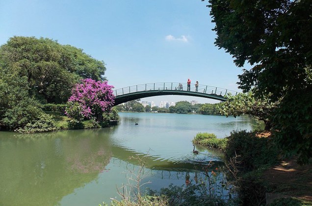 "Parque Ibirapuera - o mais significante espaço de lazer e cultura de São Paulo", segundo Lucia Estevam Mendes, que enviou a foto