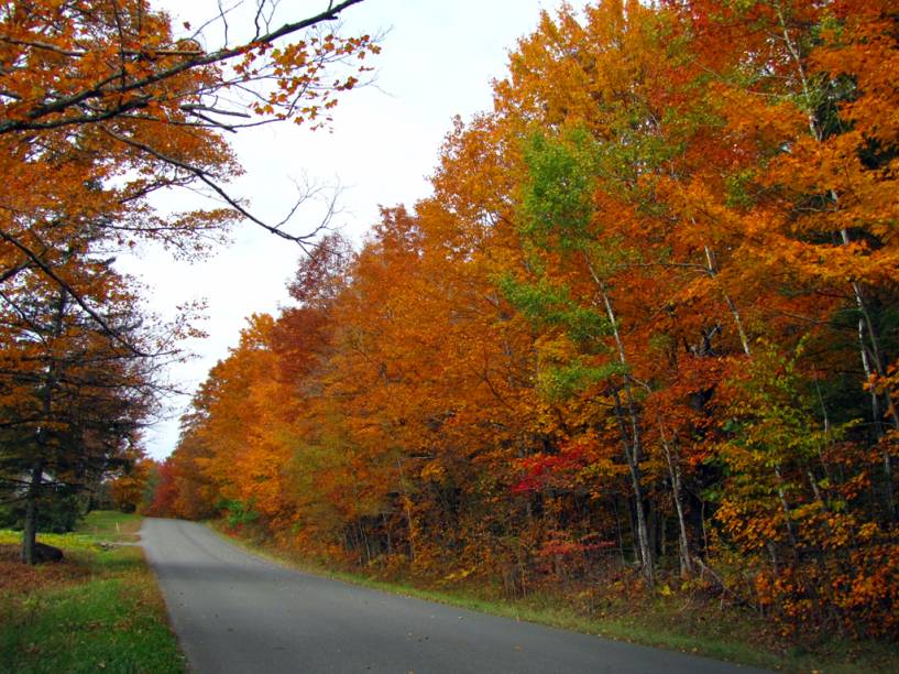 Rua em Maine, <a href="https://viajeaqui.abril.com.br/paises/estados-unidos" rel="Estados Unidos" target="_self">Estados Unidos</a>