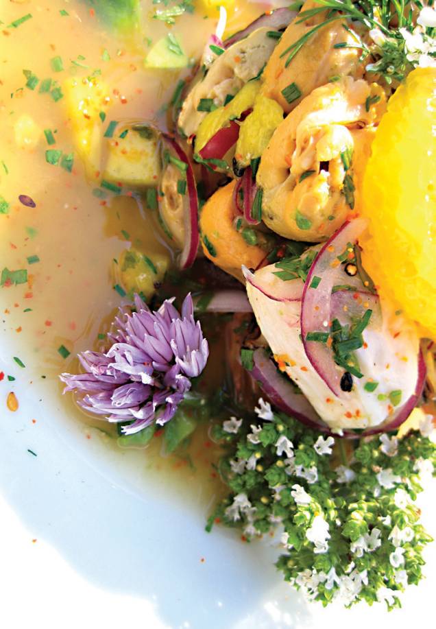 Ceviche de truta e linguado do Delfina Ceviche de truta e linguado do Delfina
