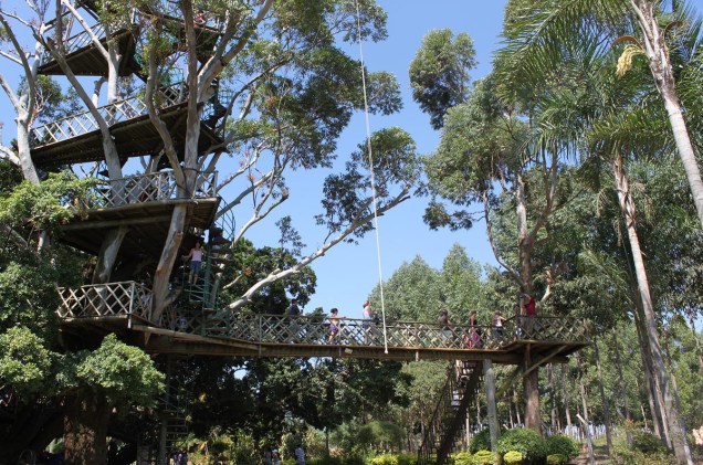 Após subir centenas de degraus, é possível alcançar a copa da Árvore Gigante, a 22 metros de altura, onde foi instalado um mirante com vista para a região do Parque Maeda