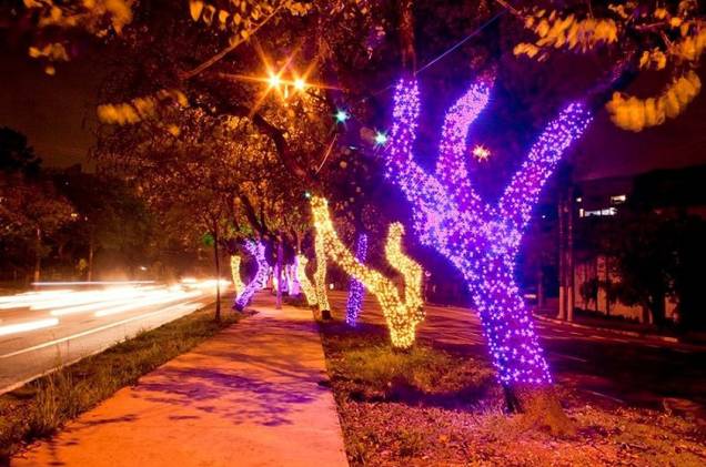 <strong>Avenida Sumaré</strong>    As árvores da ilha da avenida que fica na região de Pinheiros receberam luzes coloridas. De acordo com a prefeitura de São Paulo, em 2013, quatro regiões da cidade (ou duas mil árvores) serão decoradas