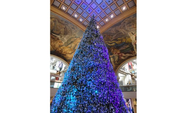 Árvore de Natal da Galeria Pacífico em Buenos Aires, Argentina