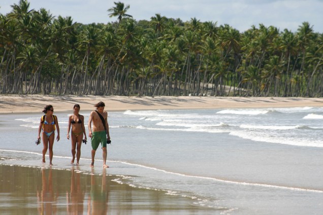Coqueiral na Praia da Cueira, na Ilha de Boipeba na Bahia
