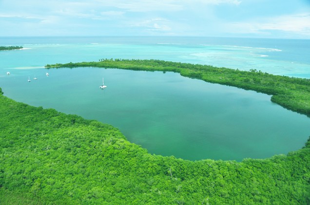 “Buccoo Reef” e “Bon Accord Lagoon” (Recifes Bucco e Lagoa Bon Accord), em Tobago, são conhecidas pelo extenso ecossistema de recifes, corais, algas marinhas e manguezais. Os recifes ocupam uma área de 7 km2. .