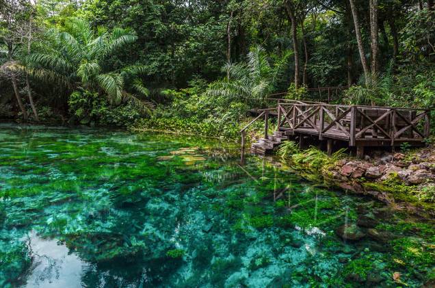 Em Bonito, ninguém põe o pé sem antes fazer reserva, pagar taxa de visita e contratar um guia. Mesmo com toda a estrutura disponível aos turistas, muitos atrativos parecem intocados. É o caso do Rio Sucuri, na foto. <a href="https://www.booking.com/searchresults.pt-br.html?aid=332455&lang=pt-br&sid=eedbe6de09e709d664615ac6f1b39a5d&sb=1&src=index&src_elem=sb&error_url=https%3A%2F%2Fwww.booking.com%2Findex.pt-br.html%3Faid%3D332455%3Bsid%3Deedbe6de09e709d664615ac6f1b39a5d%3Bsb_price_type%3Dtotal%26%3B&ss=Bonito%2C+%E2%80%8BMato+Grosso+do+Sul%2C+%E2%80%8BBrasil&checkin_monthday=&checkin_month=&checkin_year=&checkout_monthday=&checkout_month=&checkout_year=&no_rooms=1&group_adults=2&group_children=0&from_sf=1&ss_raw=Bonito&ac_position=0&ac_langcode=xb&dest_id=-630754&dest_type=city&search_pageview_id=a2936fe0ebda0574&search_selected=true&search_pageview_id=a2936fe0ebda0574&ac_suggestion_list_length=5&ac_suggestion_theme_list_length=0&district_sel=0&airport_sel=0&landmark_sel=0" target="_blank" rel="noopener"><em>Busque hospedagens em Bonito</em></a> Em Bonito, ninguém põe o pé sem antes fazer reserva, pagar taxa de visita e contratar um guia. Mesmo com toda a estrutura disponível aos turistas, muitos atrativos parecem intocados. É o caso do Rio Sucuri, na foto. <a href="https://www.booking.com/searchresults.pt-br.html?aid=332455&lang=pt-br&sid=eedbe6de09e709d664615ac6f1b39a5d&sb=1&src=index&src_elem=sb&error_url=https%3A%2F%2Fwww.booking.com%2Findex.pt-br.html%3Faid%3D332455%3Bsid%3Deedbe6de09e709d664615ac6f1b39a5d%3Bsb_price_type%3Dtotal%26%3B&ss=Bonito%2C+%E2%80%8BMato+Grosso+do+Sul%2C+%E2%80%8BBrasil&checkin_monthday=&checkin_month=&checkin_year=&checkout_monthday=&checkout_month=&checkout_year=&no_rooms=1&group_adults=2&group_children=0&from_sf=1&ss_raw=Bonito&ac_position=0&ac_langcode=xb&dest_id=-630754&dest_type=city&search_pageview_id=a2936fe0ebda0574&search_selected=true&search_pageview_id=a2936fe0ebda0574&ac_suggestion_list_length=5&ac_suggestion_theme_list_length=0&district_sel=0&airport_sel=0&landmark_sel=0" target="_blank" rel="noopener"><em>Busque hospedagens em Bonito</em></a>