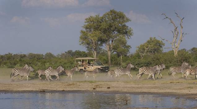 Safári na região do delta do Okavango