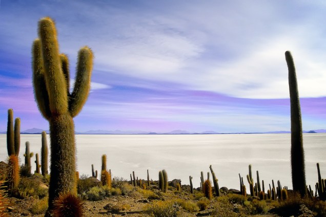 <strong>Salar de Uyuni, Bolívia</strong>    Fica no altiplano da <strong><a href="https://viajeaqui.abril.com.br/paises/bolivia" rel="Bolívia" target="_blank">Bolívia</a></strong> e é daquelas paisagens ditas surreais. O maior deserto de sal do mundo esparrama-se a perder de vista em um lugar a 3.650 metros sobre o nível do mar e cobre uma área de aproximadamente 12 mil quilômetros quadrados. A região mais visitada pelos turistas chama-se Isla del Pescado, pontuada por cactos que alcançam 10 metros de altura