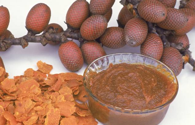 <strong>Doce de Buriti</strong><br /> Nas franjas da Floresta Amazônica, uma alta palmeira de folhagem espalmada produz pequenos frutos que darão origem a um dos doces mais apreciados no Norte e Nordeste brasileiros. Entre o <a href="https://viajeaqui.abril.com.br/estados/br-para" rel="Pará" target="_self">Pará</a> e o <a href="https://viajeaqui.abril.com.br/estados/br-maranhao" rel="Maranhão" target="_self">Maranhão</a> – e mais além – você o encontrará em forma de compota, como recheio de bombons ou como complemento a um bom queijinho <strong>Doce de Buriti</strong><br /> Nas franjas da Floresta Amazônica, uma alta palmeira de folhagem espalmada produz pequenos frutos que darão origem a um dos doces mais apreciados no Norte e Nordeste brasileiros. Entre o <a href="https://viajeaqui.abril.com.br/estados/br-para" rel="Pará" target="_self">Pará</a> e o <a href="https://viajeaqui.abril.com.br/estados/br-maranhao" rel="Maranhão" target="_self">Maranhão</a> – e mais além – você o encontrará em forma de compota, como recheio de bombons ou como complemento a um bom queijinho