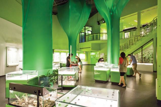Space for Life Insectarium Space for Life Insectarium