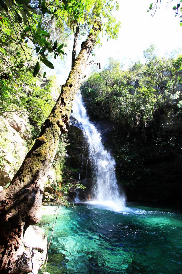 Apesar de não ficar exatamente dentro da <a href="https://viajeaqui.abril.com.br/cidades/br-go-chapada-dos-veadeiros" rel="Chapada dos Veadeiros" target="_blank">Chapada dos Veadeiros</a>, quem visita o parque não pode perder a cachoeira Santa Bárbara Apesar de não ficar exatamente dentro da <a href="https://viajeaqui.abril.com.br/cidades/br-go-chapada-dos-veadeiros" rel="Chapada dos Veadeiros" target="_blank">Chapada dos Veadeiros</a>, quem visita o parque não pode perder a cachoeira Santa Bárbara