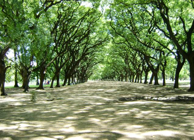 <strong>Bosques de Palermo</strong> O conjunto de parques e praças formam um cenário natural lindo e extremamente agradável, sobretudo com o lago que marca a paisagem. Cercado por árvores centenárias, o lugar é uma das boas pedidas para fazer um piquenique <strong>Bosques de Palermo</strong> O conjunto de parques e praças formam um cenário natural lindo e extremamente agradável, sobretudo com o lago que marca a paisagem. Cercado por árvores centenárias, o lugar é uma das boas pedidas para fazer um piquenique