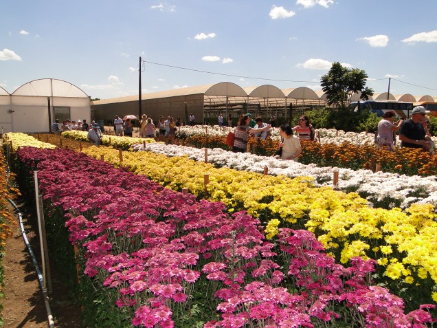 O evento é considerado o maior da América Latina voltado para o setor da floricultura