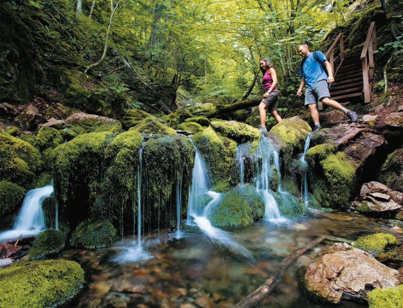 Trilha sobre riacho no Fundy National Park