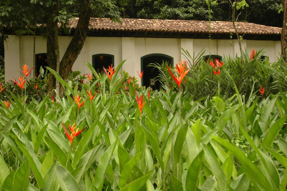 Canteiro de helicônias no Museu-Sítio Arqueológico Casa dos Pilões, uma das unidades de produção da Real Fábrica de Pólvora da Lagoa Rodrigo de Freitas, na época do império, no Jardim Botânico