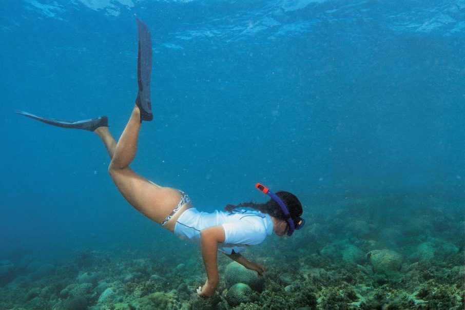 As águas transparentes permitem aos turistas verem a vida marinha da região