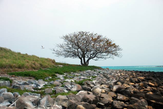 No <a href="https://viajeaqui.abril.com.br/estabelecimentos/br-ba-caravelas-atracao-parque-nacional-marinho-dos-abrolhos" rel="Parque Nacional Marinho de Abrolhos" target="_self"><strong>Parque Nacional Marinho de Abrolhos</strong></a>, <a href="https://viajeaqui.abril.com.br/estados/br-bahia" rel="Bahia" target="_self">Bahia</a>, só é permitido o desembarque na ilha Siriba (foto) No <a href="https://viajeaqui.abril.com.br/estabelecimentos/br-ba-caravelas-atracao-parque-nacional-marinho-dos-abrolhos" rel="Parque Nacional Marinho de Abrolhos" target="_self"><strong>Parque Nacional Marinho de Abrolhos</strong></a>, <a href="https://viajeaqui.abril.com.br/estados/br-bahia" rel="Bahia" target="_self">Bahia</a>, só é permitido o desembarque na ilha Siriba (foto)