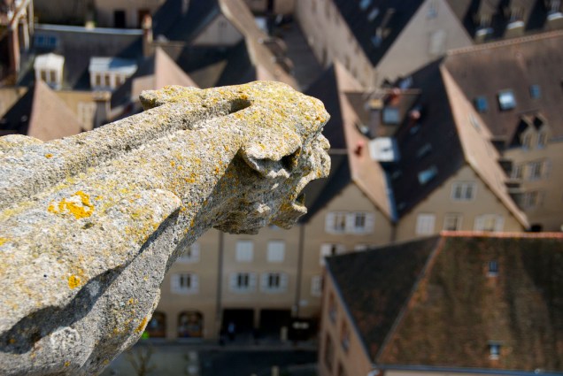 Gárgula da Catedral de Chartres