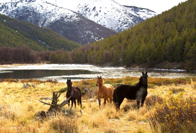 Na região dos Andes chilenos, uma das atividades mais procuradas pelos visitantes da Patagônia são os <strong>passeios a cavalo</strong>, que percorrem suas trilhas montanhosas. A cidade de San Martín de Los Andes é uma das mais procuradas para esse tipo de atividade