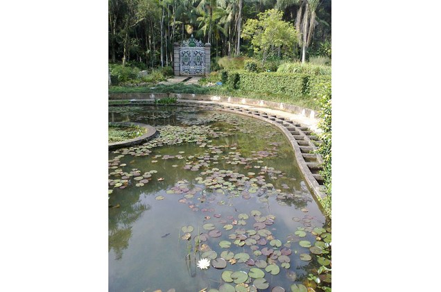 O cantinho preferido de Cintia Tamanaha em São Paulo é o portal que fica logo atrás do lago no Jardim Botânico da cidade