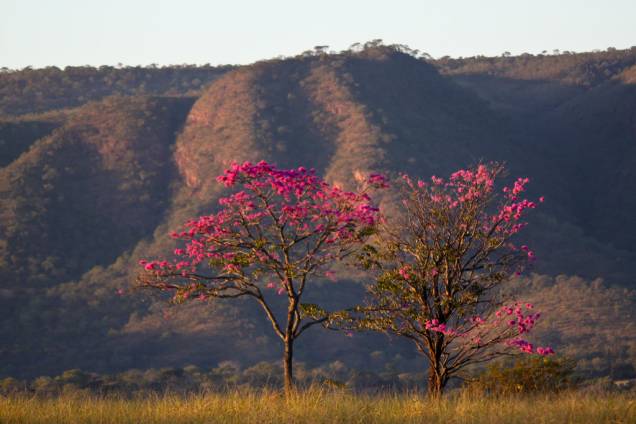 Sossegado, o Parque Estadual é um contraponto ao movimento dos clubes da cidade. Há um pequeno museu e trilhas que chegam até quedas-d´água. Uma van leva ao mirante, com bela visão da região Sossegado, o Parque Estadual é um contraponto ao movimento dos clubes da cidade. Há um pequeno museu e trilhas que chegam até quedas-d´água. Uma van leva ao mirante, com bela visão da região