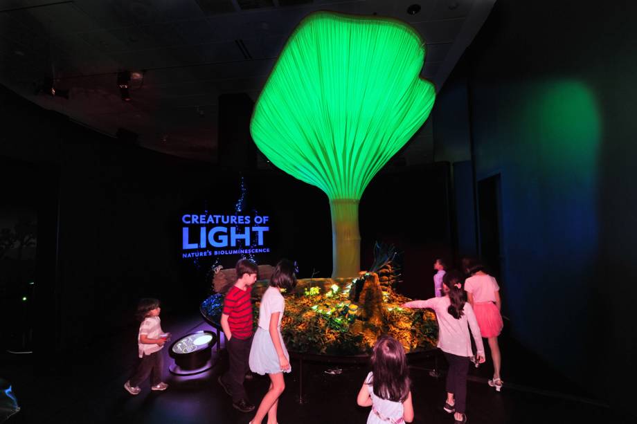 <strong>Para <a href="https://viajeaqui.abril.com.br/cidades/estados-unidos-nova-york" rel="Nova York" target="_blank">Nova York</a></strong>Passar duas semanas no verão nova-iorquino estudando inglês e cultura americana num programa de 30 horas-aula é tudo de bom. Em quarto com até dois roommates, estudantes de 10 a 16 anos são supervisionados 24 horas por dia. As refeições estão incluídas durante a semana, mas nos fins de semana ficampor conta do viajante.<strong>QUANDO:</strong> Em 20 de julho<strong>QUEM LEVA:</strong> A <a href="https://educnet.com.br" rel="Educnet" target="_blank"><strong>Educnet</strong></a> (11/3062-0400)<strong>QUANTO:</strong> US$ 6 200 <strong>Para <a href="https://viajeaqui.abril.com.br/cidades/estados-unidos-nova-york" rel="Nova York" target="_blank">Nova York</a></strong>Passar duas semanas no verão nova-iorquino estudando inglês e cultura americana num programa de 30 horas-aula é tudo de bom. Em quarto com até dois roommates, estudantes de 10 a 16 anos são supervisionados 24 horas por dia. As refeições estão incluídas durante a semana, mas nos fins de semana ficampor conta do viajante.<strong>QUANDO:</strong> Em 20 de julho<strong>QUEM LEVA:</strong> A <a href="https://educnet.com.br" rel="Educnet" target="_blank"><strong>Educnet</strong></a> (11/3062-0400)<strong>QUANTO:</strong> US$ 6 200